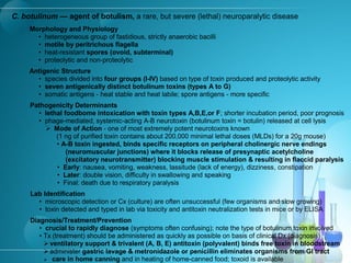 C. botulinum — agent of botulism, a rare, but severe (lethal) neuroparalytic disease
Morphology and Physiology
• heterogeneous group of fastidious, strictly anaerobic bacilli
• motile by peritrichous flagella
• heat-resistant spores (ovoid, subterminal)
• proteolytic and non-proteolytic
Antigenic Structure
• species divided into four groups (I-IV) based on type of toxin produced and proteolytic activity
• seven antigenically distinct botulinum toxins (types A to G)
• somatic antigens - heat stable and heat labile; spore antigens - more specific
Pathogenicity Determinants
• lethal foodbome intoxication with toxin types A,B,E,or F; shorter incubation period, poor prognosis
• phage-mediated, systemic-acting A-B neurotoxin (botulinum toxin = botulin) released at cell lysis
 Mode of Action - one of most extremely potent neurotoxins known
(1 ng of purified toxin contains about 200,000 minimal lethal doses (MLDs) for a 20g mouse)
• A-B toxin ingested, binds specific receptors on peripheral cholinergic nerve endings
(neuromuscular junctions) where it blocks release of presynaptic acetylcholine
(excitatory neurotransmitter) blocking muscle stimulation & resulting in flaccid paralysis
• Early: nausea, vomiting, weakness, lassitude (lack of energy), dizziness, constipation
• Later: double vision, difficulty in swallowing and speaking
• Final: death due to respiratory paralysis
Lab Identification
• microscopic detection or Cx (culture) are often unsuccessful (few organisms and slow growing)
• toxin detected and typed in lab via toxicity and antitoxin neutralization tests in mice or by ELISA
Diagnosis/Treatment/Prevention
• crucial to rapidly diagnose (symptoms often confusing); note the type of botulinum toxin involved
• Tx (treatment) should be administered as quickly as possible on basis of clinical Dx (diagnosis)
 ventilatory support & trivalent (A, B, E) antitoxin (polyvalent) binds free toxin in bloodstream
 administer gastric lavage & metronidazole or penicillin eliminates organisms from Gl tract
 care in home canning and in heating of home-canned food; toxoid is available
 
