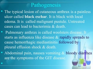 Pathogenesis
 The typical lesion of cutaneous anthrax is a painless
ulcer called black eschar. It is black with local
edema. It is called malignant pustule. Untreated
cases can lead to bacterimia & death.
 Pulmonary anthrax is called woolsters disease. It
starts as influenza like disease & rapidly spreads to
cause hemorrhagic mediastinitis followed by
pleural effusion shock & death.
 Abdominal pain, nausea vomiting & bloody diarrhea
are the symptoms of the GIT disease.

 