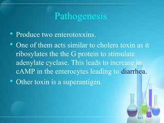 Pathogenesis
 Produce two enterotoxxins.
 One of them acts similar to cholera toxin as it
ribosylates the the G protein to stimulate
adenylate cyclase. This leads to increase in
cAMP in the enterocytes leading to diarrhea.
 Other toxin is a superantigen.
 
