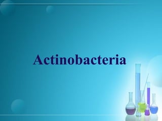 Actinobacteria
 
