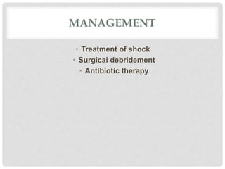 MANAGEMENT
• Treatment of shock
• Surgical debridement
• Antibiotic therapy
 