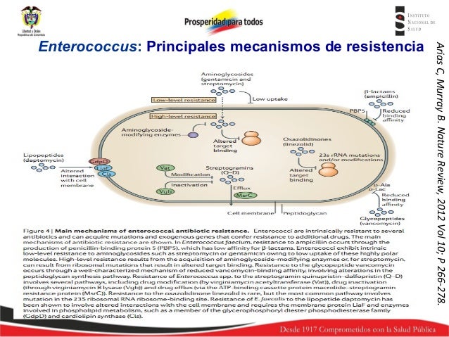 Mecanismos De Resistencia Bacteriana Gram Positivos