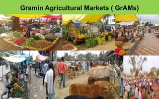 Gramin Agricultural Markets ( GrAMs)
 