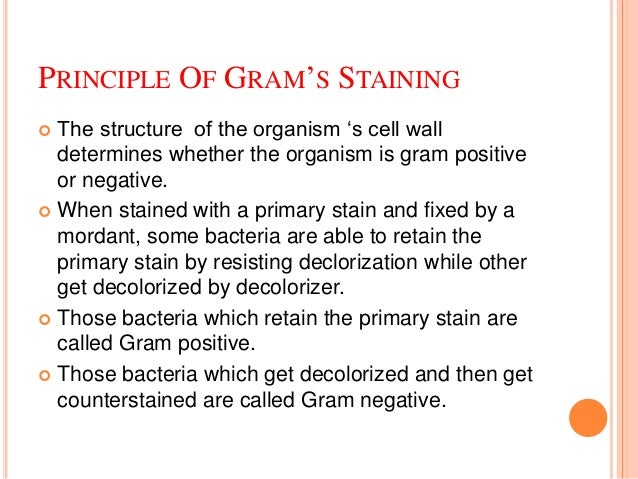 what is the fundamental theory of simple staining