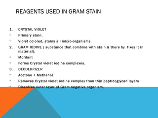 REAGENTS USED IN GRAM STAIN
1. CRYSTAL VIOLET
• Primary stain.
• Violet colored, stains all micro-organisms.
2. GRAM IODINE ( substance that combine with stain & there by fixes it in
material).
• Mordant
• Forms Crystal violet iodine complexes.
3. DECOLORIZER
• Acetone + Methanol
• Removes Crystal violet iodine complex from thin peptidoglycan layers
• Dissolves outer layer of Gram negative organism.
 