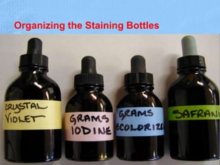 Organizing the Staining Bottles
11
 