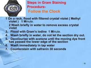 Steps in Gram Staining
Procedure-
Follow the Clock
1 On a rack, flood with filtered crystal violet ( Methyl
violet ) 1 Minute.
2 Wash briefly in water to remove excess crystal
violet
3. Flood with Gram’s iodine 1 Minute.
4. Wash briefly in water, do not let the section dry out.
5. Decolourise with acetone until the moving dye front
has passed the lower edge of the section
6. Wash immediately in tap water
7. Counterstain with safranin 30 seconds
16
 
