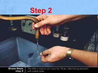 Step 2
Dr.T.V.Rao MD 19
 