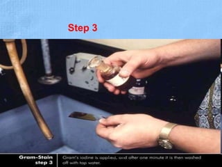 Step 3
Dr.T.V.Rao MD 20
 