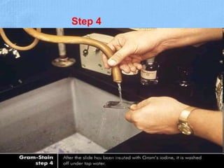 Step 4
Dr.T.V.Rao MD 21
 