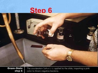 Step 6
Dr.T.V.Rao MD 25
 