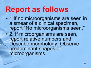 Report as follows
• 1 If no microorganisms are seen in
a smear of a clinical specimen,
report “No microorganisms seen.”
• 2. If microorganisms are seen,
report relative numbers and
Describe morphology. Observe
predominant shapes of
microorganisms
30
 