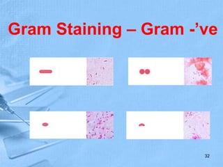 Gram Staining – Gram -’ve
32
 