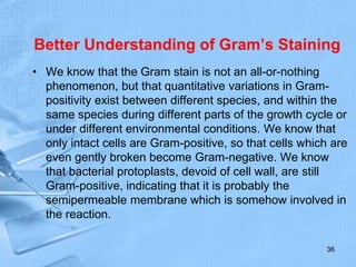 Better Understanding of Gram’s Staining
• We know that the Gram stain is not an all-or-nothing
phenomenon, but that quantitative variations in Gram-
positivity exist between different species, and within the
same species during different parts of the growth cycle or
under different environmental conditions. We know that
only intact cells are Gram-positive, so that cells which are
even gently broken become Gram-negative. We know
that bacterial protoplasts, devoid of cell wall, are still
Gram-positive, indicating that it is probably the
semipermeable membrane which is somehow involved in
the reaction.
36
 