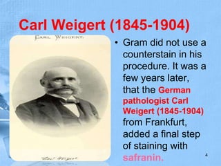 Carl Weigert (1845-1904)
• Gram did not use a
counterstain in his
procedure. It was a
few years later,
that the German
pathologist Carl
Weigert (1845-1904)
from Frankfurt,
added a final step
of staining with
safranin. 4
 