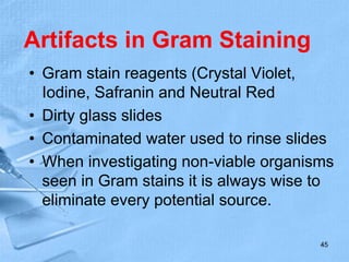 Artifacts in Gram Staining
• Gram stain reagents (Crystal Violet,
Iodine, Safranin and Neutral Red
• Dirty glass slides
• Contaminated water used to rinse slides
• When investigating non-viable organisms
seen in Gram stains it is always wise to
eliminate every potential source.
45
 