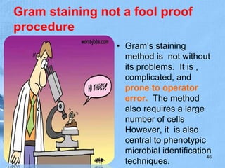 Gram staining not a fool proof
procedure
• Gram’s staining
method is not without
its problems. It is ,
complicated, and
prone to operator
error. The method
also requires a large
number of cells
However, it is also
central to phenotypic
microbial identification
techniques.
46
 