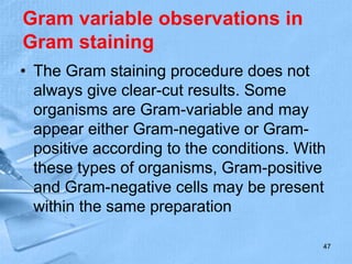 Gram variable observations in
Gram staining
• The Gram staining procedure does not
always give clear-cut results. Some
organisms are Gram-variable and may
appear either Gram-negative or Gram-
positive according to the conditions. With
these types of organisms, Gram-positive
and Gram-negative cells may be present
within the same preparation
47
 
