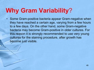 Why Gram Variability?
• Some Gram-positive bacteria appear Gram-negative when
they have reached a certain age, varying from a few hours
to a few days. On the other hand, some Gram-negative
bacteria may become Gram-positive in older cultures. For
this reason it is strongly recommended to use very young
cultures for the staining procedure, after growth has
become just visible.
48
 