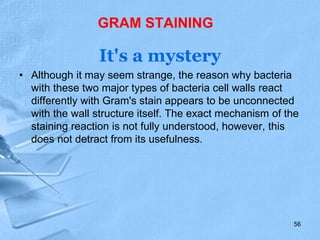 GRAM STAINING
It's a mystery
• Although it may seem strange, the reason why bacteria
with these two major types of bacteria cell walls react
differently with Gram's stain appears to be unconnected
with the wall structure itself. The exact mechanism of the
staining reaction is not fully understood, however, this
does not detract from its usefulness.
56
 