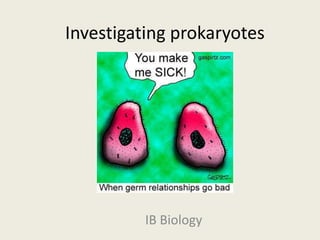 Investigating prokaryotes IB Biology 