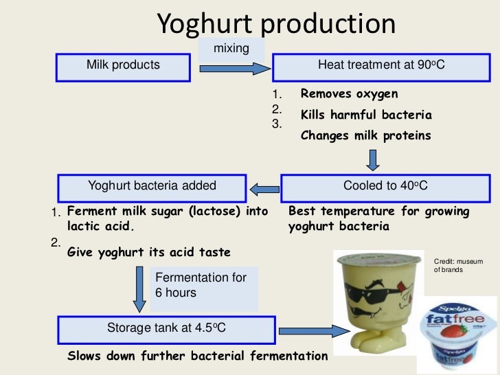 yogurt making temperature