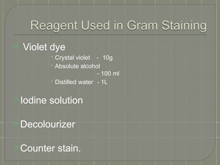 gramstain-180208041455 presentation slide | PPTX