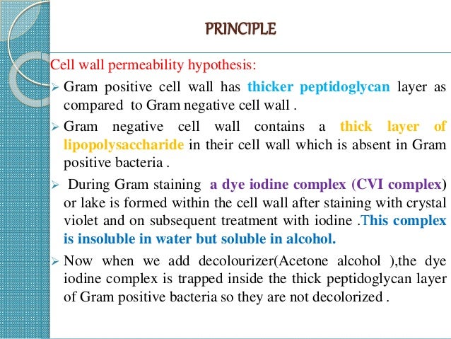 Gram Stain By Manoj
