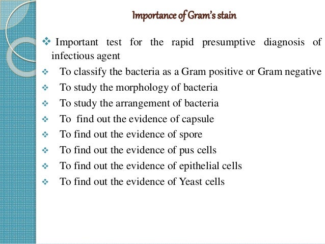 Gram Stain By Manoj Gram Stain By Manoj