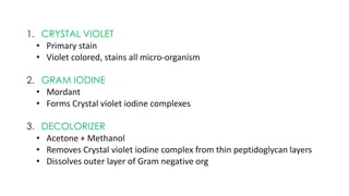 1. CRYSTAL VIOLET
• Primary stain
• Violet colored, stains all micro-organism
2. GRAM IODINE
• Mordant
• Forms Crystal violet iodine complexes
3. DECOLORIZER
• Acetone + Methanol
• Removes Crystal violet iodine complex from thin peptidoglycan layers
• Dissolves outer layer of Gram negative org
 