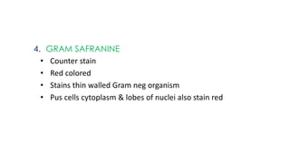 4. GRAM SAFRANINE
• Counter stain
• Red colored
• Stains thin walled Gram neg organism
• Pus cells cytoplasm & lobes of nuclei also stain red
 