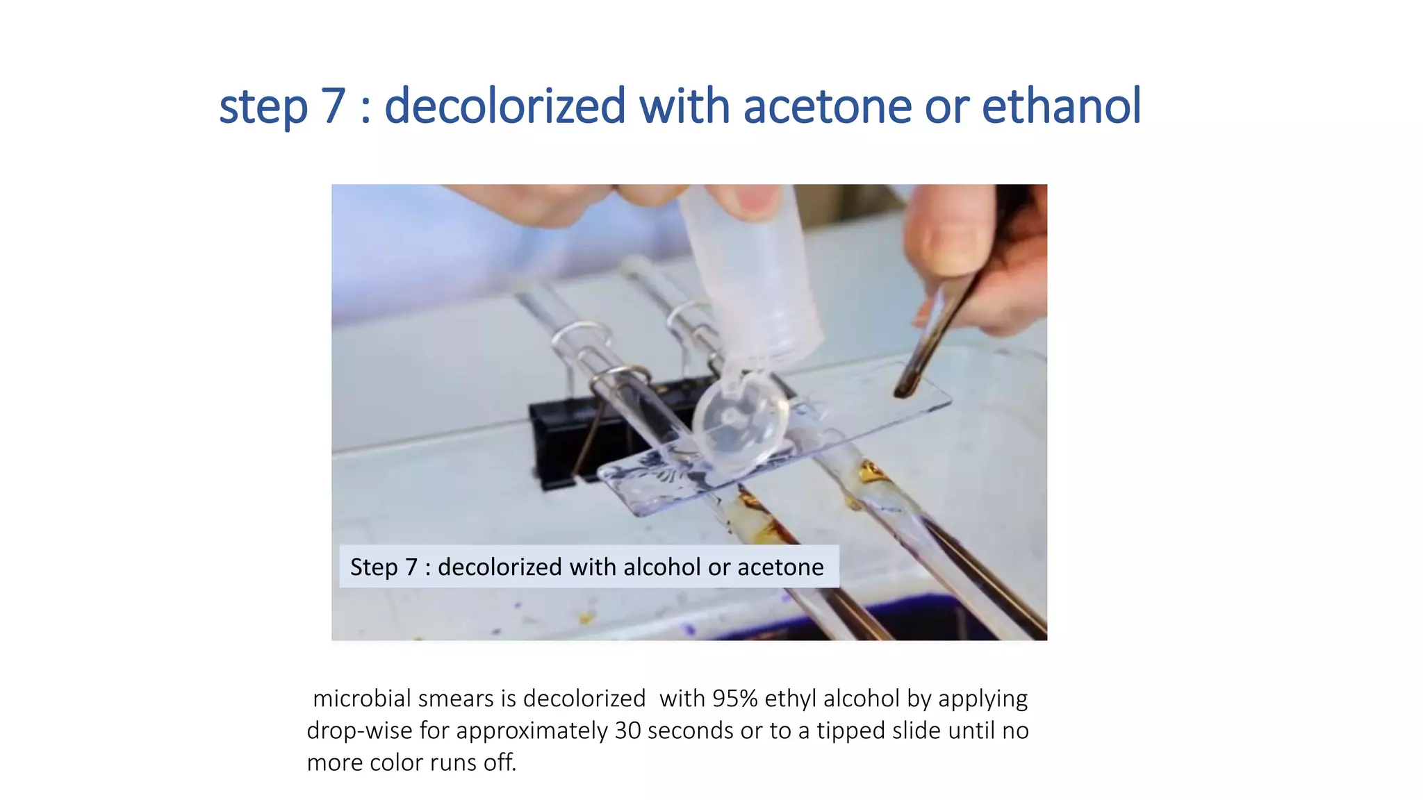 Gram staining Gram positive and gram negative bacteria can be ...
