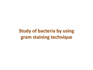 Study of bacteria by using
gram staining technique
 