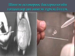 Шингэн өсгөвөрөөс бактериологийн
гогцоогоор авч нимгэн түрхэц бэлдэх.
 