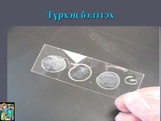 Түрхэц бэлтгэх
 