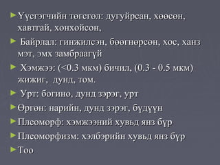 ► Үүсгэгчийн төгсгөл: дугуйрсан, хөөсөн,
  хавтгай, хонхойсон,
► Байрлал: гинжилсэн, бөөгнөрсөн, хос, ханз
  мэт, эмх замбраагүй
► Хэмжээ: (<0.3 мкм) бичил, (0.3 - 0.5 мкм)
  жижиг, дунд, том.
► Урт: богино, дунд зэрэг, урт
► Өргөн: нарийн, дунд зэрэг, бүдүүн
► Плеоморф: хэмжээний хувьд янз бүр
► Плеоморфизм: хэлбэрийн хувьд янз бүр
► Тоо
 