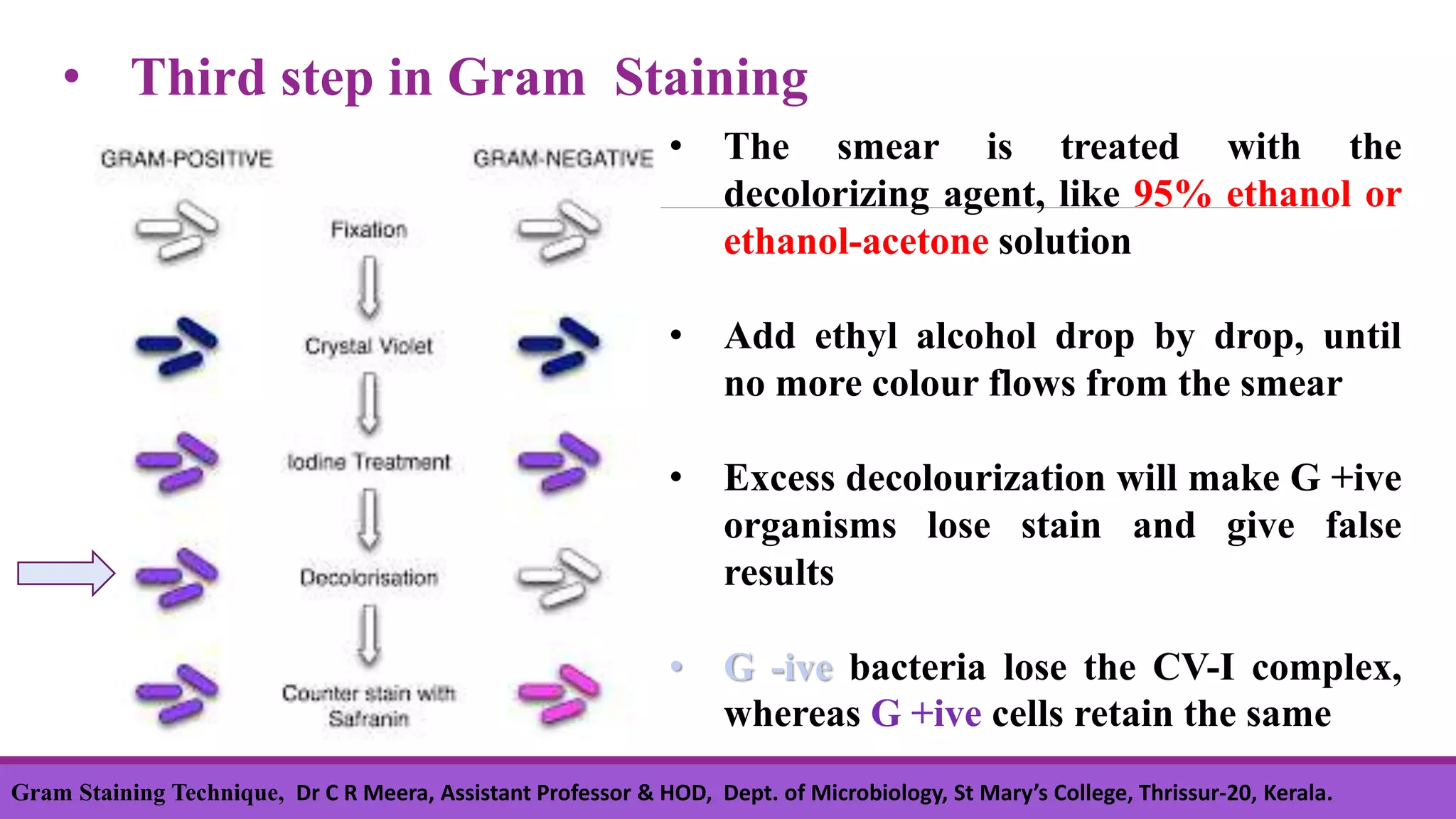 • Third step in Gram Staining
• The smear is treated with the
decolorizing agent, like 95% ethanol or
ethanol-acetone solution
• Add ethyl alcohol drop by drop, until
no more colour flows from the smear
• Excess decolourization will make G +ive
organisms lose stain and give false
results
• G -ive bacteria lose the CV-I complex,
whereas G +ive cells retain the same
Gram Staining Technique, Dr C R Meera, Assistant Professor & HOD, Dept. of Microbiology, St Mary’s College, Thrissur-20, Kerala.
 