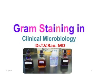 Gram Staining in
Clinical Microbiology
Dr.T.V.Rao. MD
Dr.T.V.Rao MD@ Gram staining 11/2/2018
 