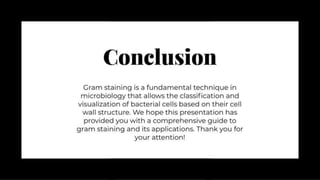 Exploring Gram Staining: A Comprehensive Guide to Bacterial Cell Wall Classification
