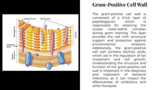 Exploring Gram Staining: A Comprehensive Guide to Bacterial Cell Wall Classification