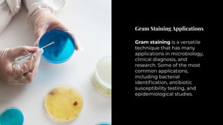 Exploring Gram Staining: A Comprehensive Guide to Bacterial Cell Wall Classification