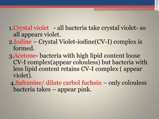 1.Crystal violet - all bacteria take crystal violet- so
all appears violet.
2.Iodine – Crystal Violet-iodine(CV-I) complex is
formed.
3.Acetone- bacteria with high lipid content loose
CV-I complex(appear colouless) but bacteria with
less lipid content retains CV-I complex ( appear
violet).
4.Safranine/ dilute carbol fuchsin – only colouless
bacteria takes – appear pink.
 