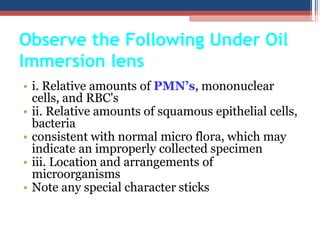 • i. Relative amounts of PMN’s, mononuclear
cells, and RBC's
• ii. Relative amounts of squamous epithelial cells,
bacteria
• consistent with normal micro flora, which may
indicate an improperly collected specimen
• iii. Location and arrangements of
microorganisms
• Note any special character sticks
Observe the Following Under Oil
Immersion lens
 