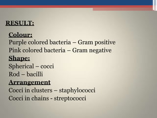 RESULT:
Colour:
Purple colored bacteria – Gram positive
Pink colored bacteria – Gram negative
Shape:
Spherical – cocci
Rod – bacilli
Arrangement
Cocci in clusters – staphylococci
Cocci in chains - streptococci
 