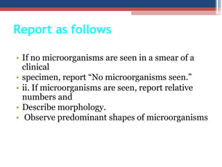• If no microorganisms are seen in a smear of a
clinical
• specimen, report “No microorganisms seen.”
• ii. If microorganisms are seen, report relative
numbers and
• Describe morphology.
• Observe predominant shapes of microorganisms
Report as follows
 