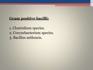 • Gram positive bacilli:
• 1. Clostridium species.
• 2. Corynebacterium species.
• 3. Bacillus anthracis.
 