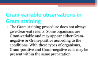 Gram variable observations in
Gram staining
• The Gram staining procedure does not always
give clear-cut results. Some organisms are
Gram-variable and may appear either Gram-
negative or Gram-positive according to the
conditions. With these types of organisms,
Gram-positive and Gram-negative cells may be
present within the same preparation
 