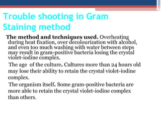 Trouble shooting in Gram
Staining method
The method and techniques used. Overheating
during heat fixation, over decolourization with alcohol,
and even too much washing with water between steps
may result in gram-positive bacteria losing the crystal
violet-iodine complex.
The age of the culture. Cultures more than 24 hours old
may lose their ability to retain the crystal violet-iodine
complex.
The organism itself. Some gram-positive bacteria are
more able to retain the crystal violet-iodine complex
than others.
 