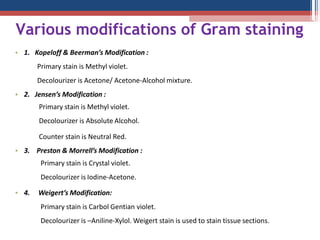 Various modifications of Gram staining
• 1. Kopeloff & Beerman’s Modification :
Primary stain is Methyl violet.
Decolourizer is Acetone/ Acetone-Alcohol mixture.
• 2. Jensen’s Modification :
Primary stain is Methyl violet.
Decolourizer is Absolute Alcohol.
•
Counter stain is Neutral Red.
3. Preston & Morrell’s Modification :
Primary stain is Crystal violet.
Decolourizer is Iodine-Acetone.
• 4. Weigert’s Modification:
Primary stain is Carbol Gentian violet.
Decolourizer is –Aniline-Xylol. Weigert stain is used to stain tissue sections.
 