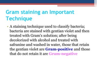 • A staining technique used to classify bacteria;
bacteria are stained with gentian violet and then
treated with Gram's solution; after being
decolorized with alcohol and treated with
safranine and washed in water, those that retain
the gentian violet are Gram-positive and those
that do not retain it are Gram-negative
Gram staining an Important
Technique
 